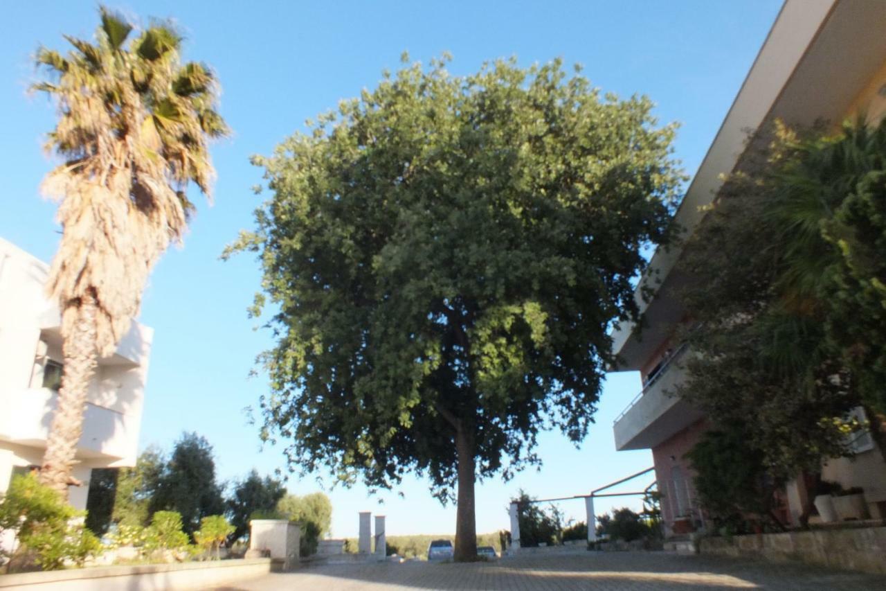 La Vallonea Casamassella Bagian luar foto